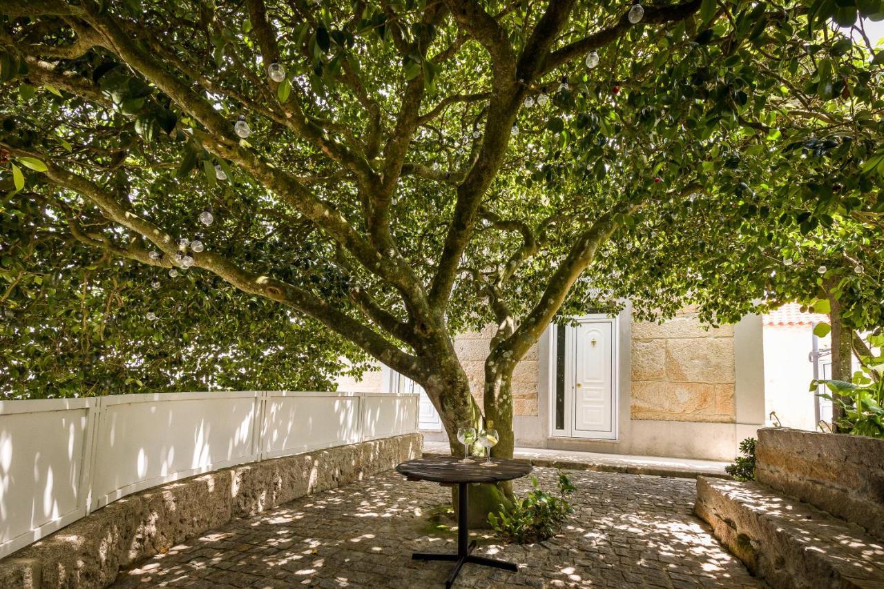 Casa De Ferreira Cinfaes Villa ภายนอก รูปภาพ